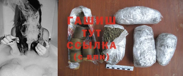 гидра Верхний Тагил