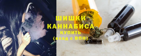 гидра Верхний Тагил