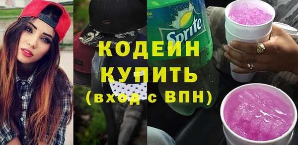 гидра Верхний Тагил