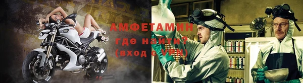 гидра Верхний Тагил